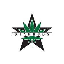 Starbuds logo 9