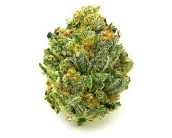 verde4