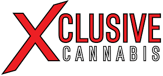 Xclusive 1