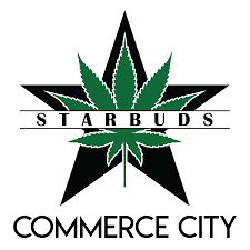 CC Starbuds 2