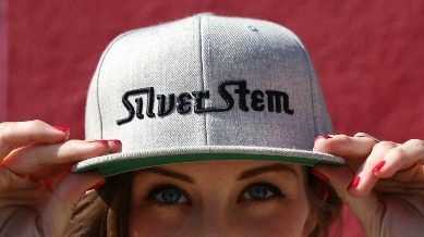 Silver stem 1 2