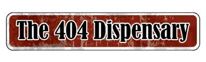 4041