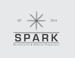 Spark Logo